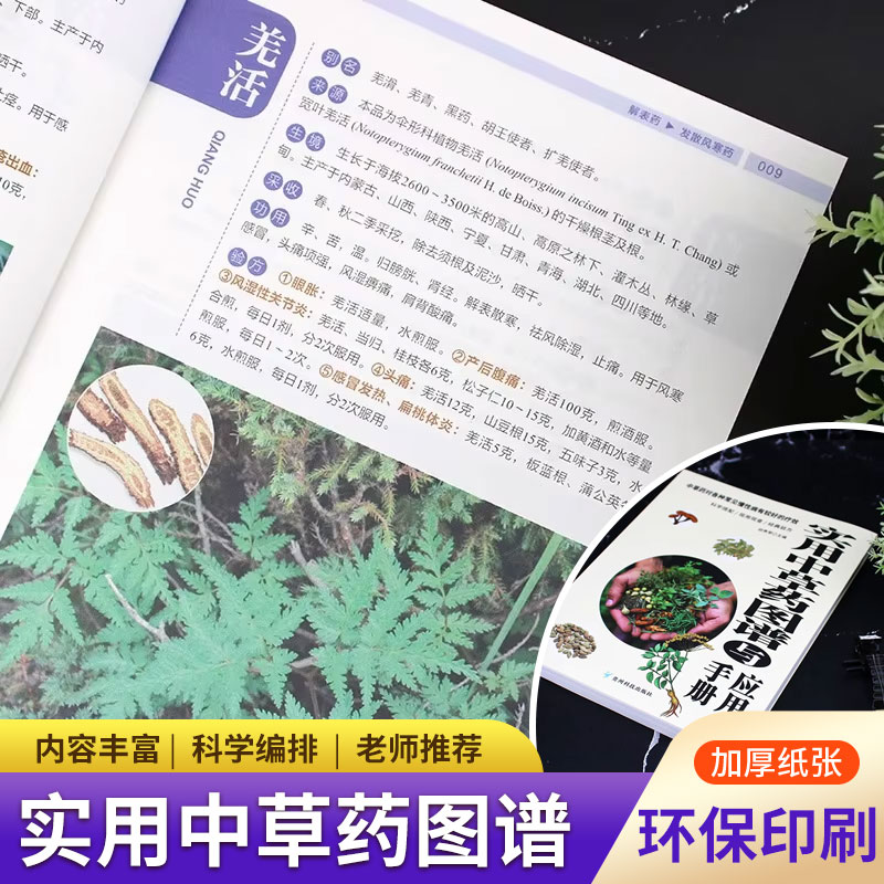 Wellness Herbal Medicine - Atlas et manuel pratiques sur les