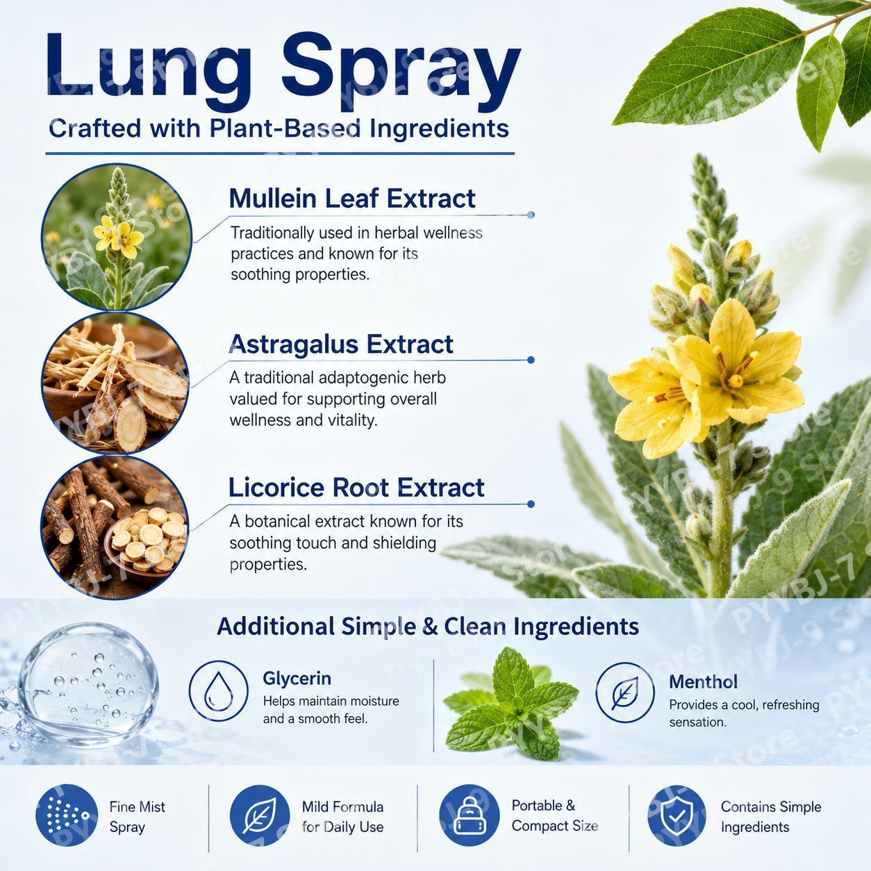 Spray Respiratoire Fraîcheur H - Herbal Wellness In avis et prix