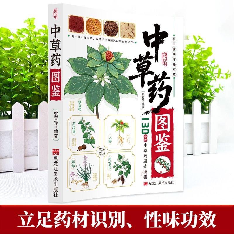 Guide illustré de la médecine  - Wellness Herbal Medicine avis et prix