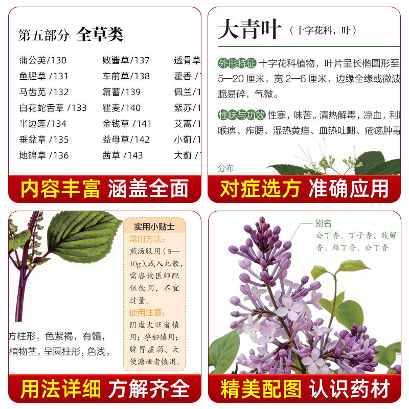 Guide illustré de la médecine  - Wellness Herbal Medicine avis et prix